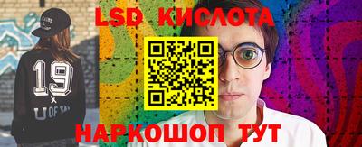 прущие грибы Первоуральск