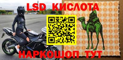 гидра Партизанск