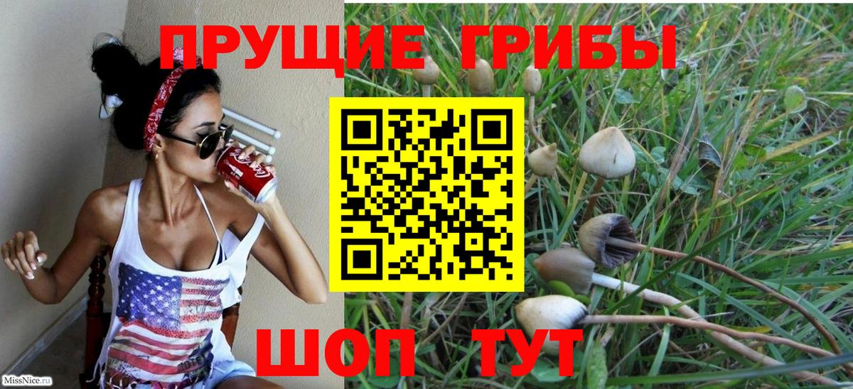 Галлюциногенные грибы Psilocybe Самара