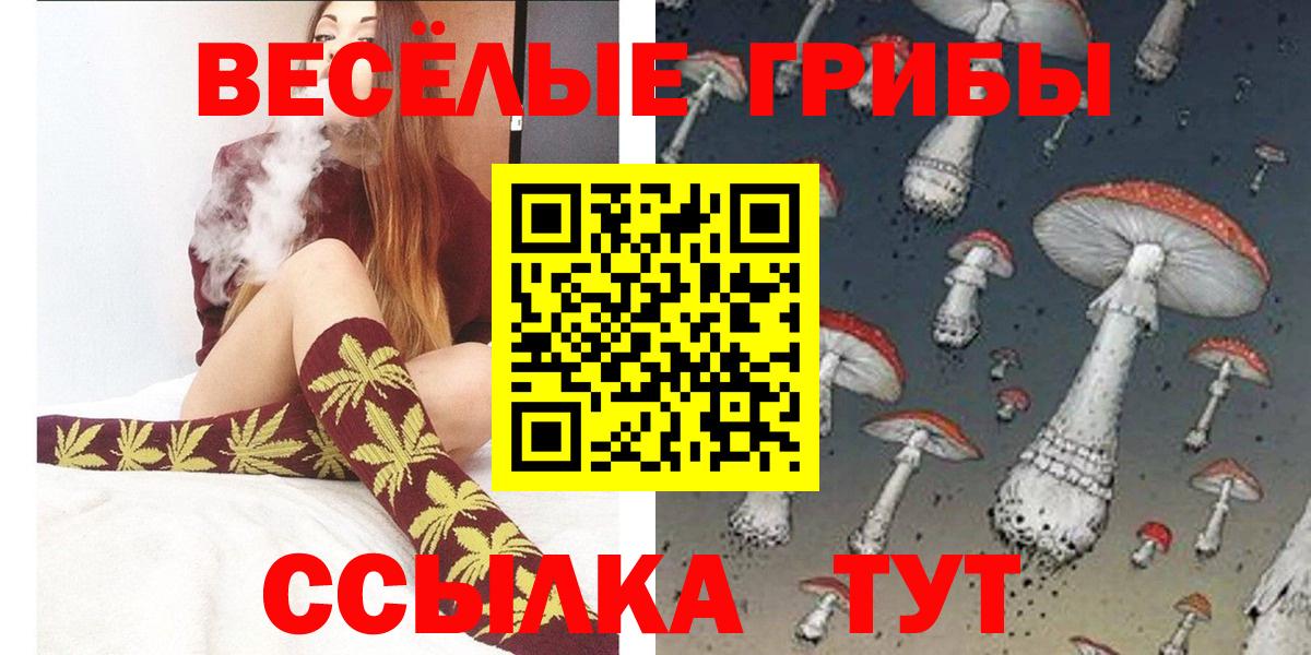 Псилоцибиновые грибы GOLDEN TEACHER  Вход с VPN  где купить наркоту  Самара 